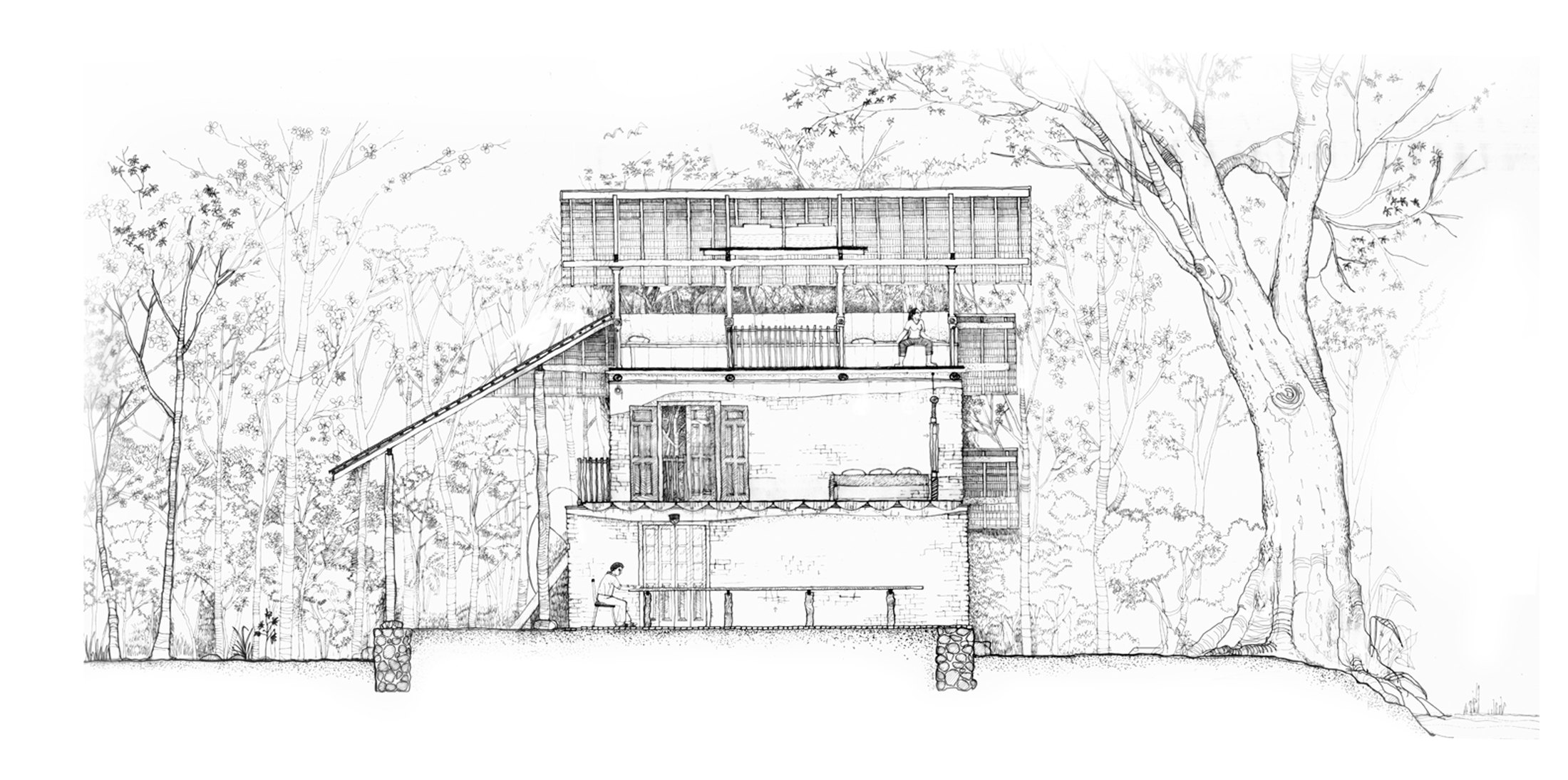 Architectural cross-section of the lodge among the trees, drawn in ink