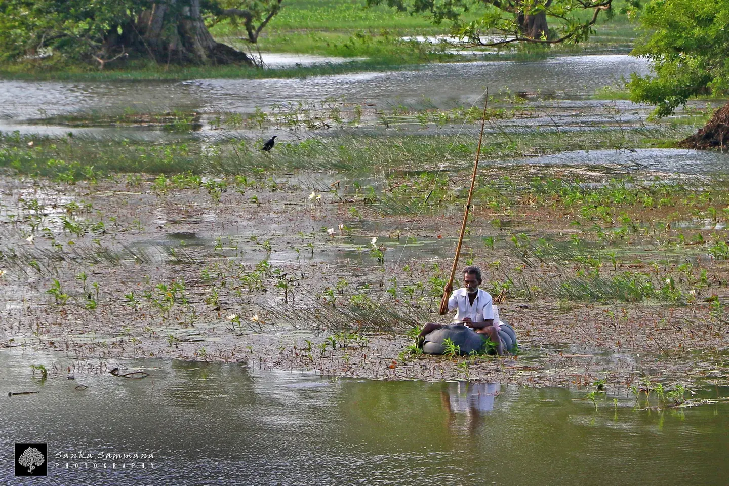 Fishing at Galkadawala lake