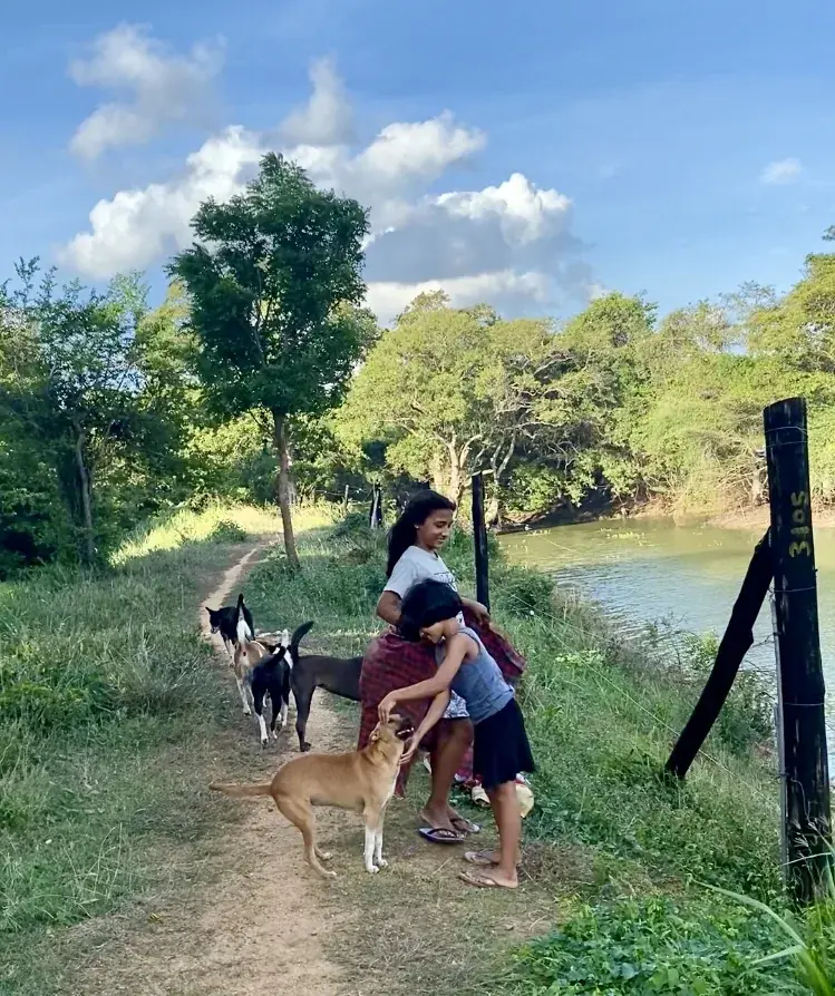 A highlight of the day — meeting friends and pets at the village tank for an afternoon bath