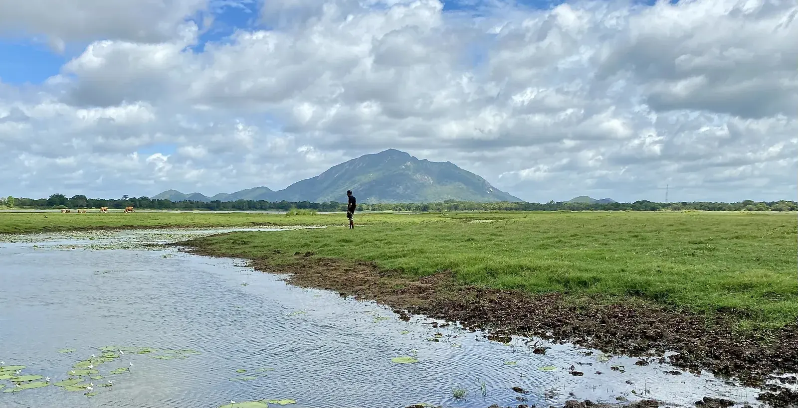 Horivila Lake and the Ritigala mountain