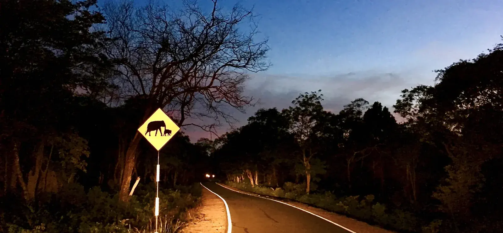Road to Galkadawala