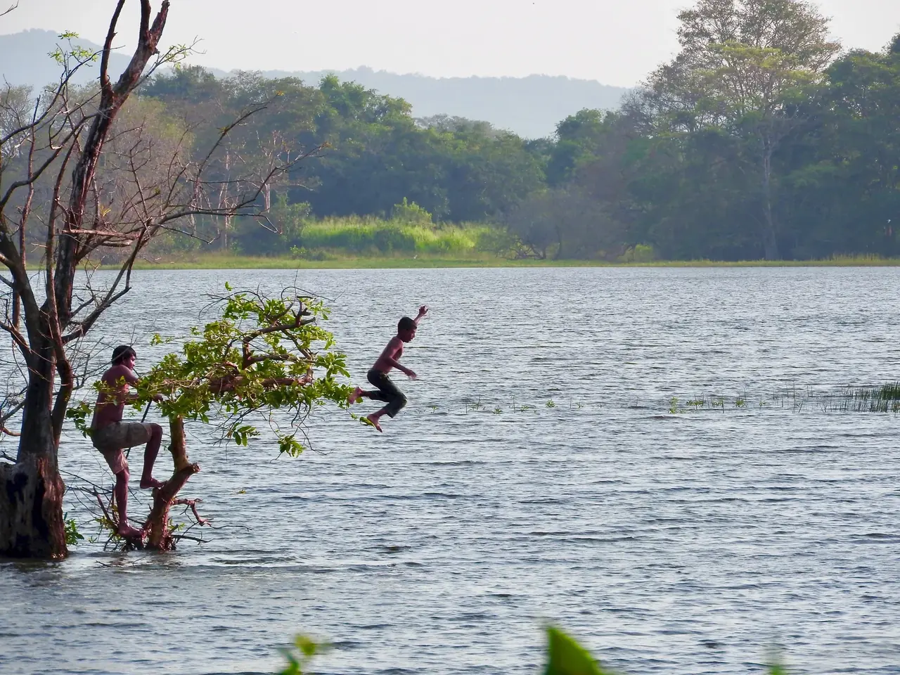 The village tank, a place of childhood adventures and a bond with nature