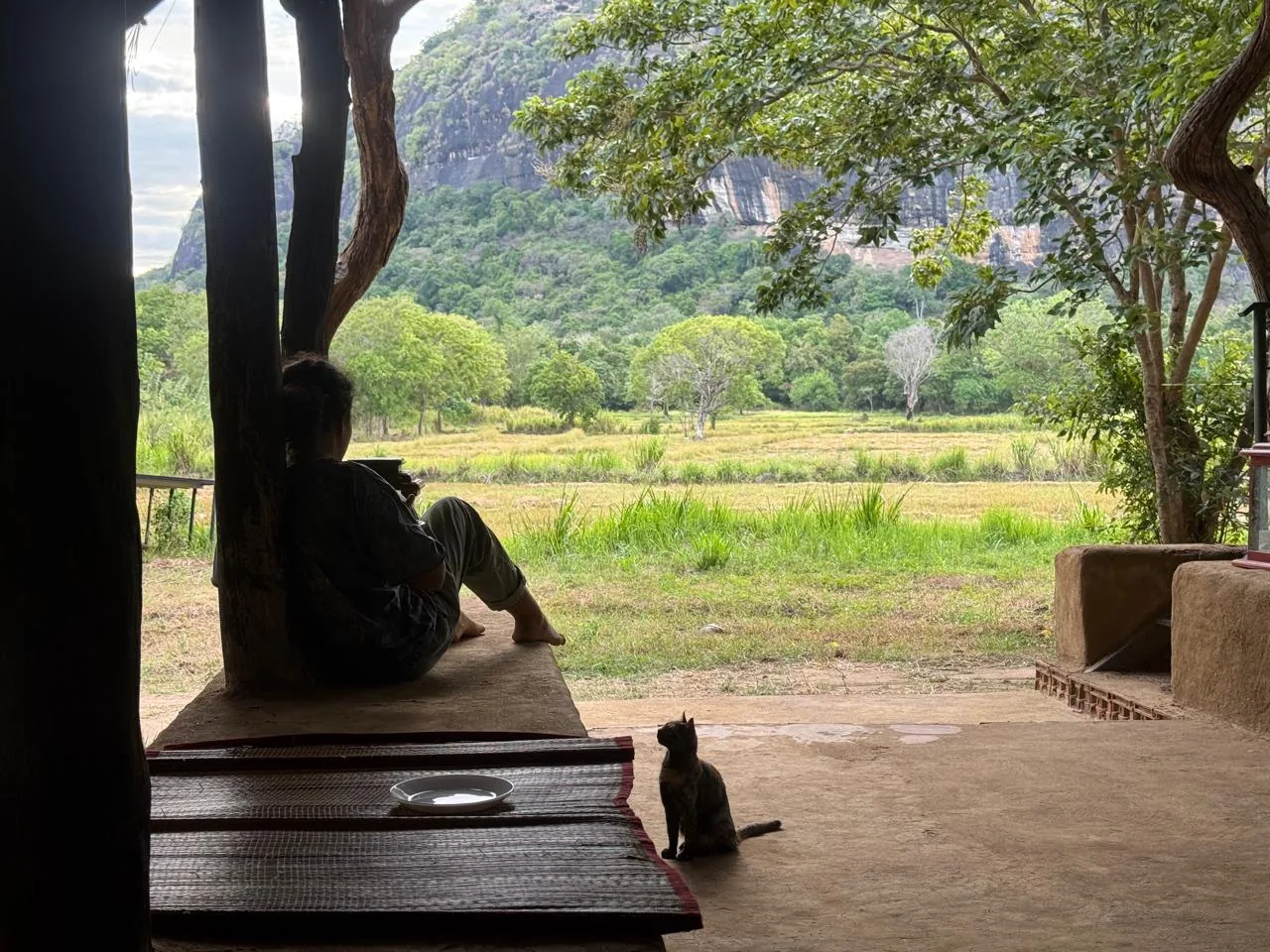 Looking out from the verandah at the Hermit's Lair