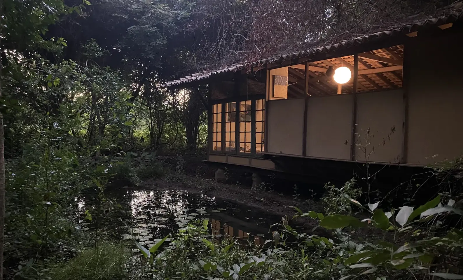 The lodge glowing through the trees at dusk