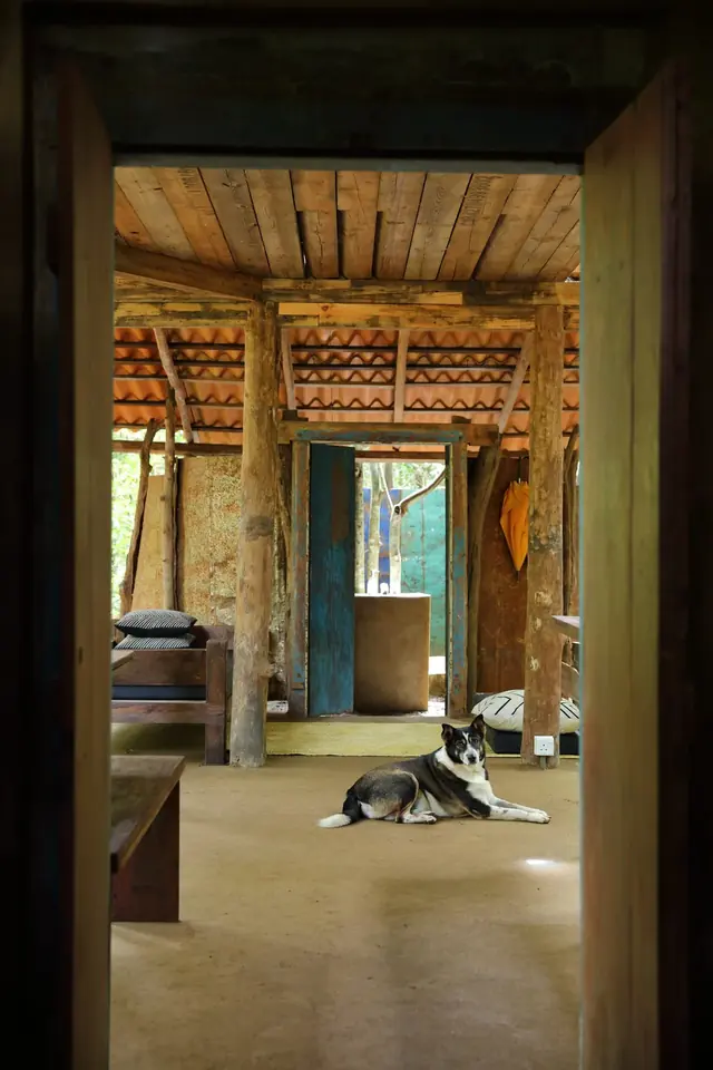 Reclaimed timber and clay inside the lodge, with a dog asleep on the floor