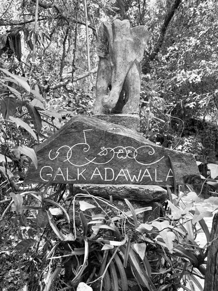The Galkadawala name stone in the forest