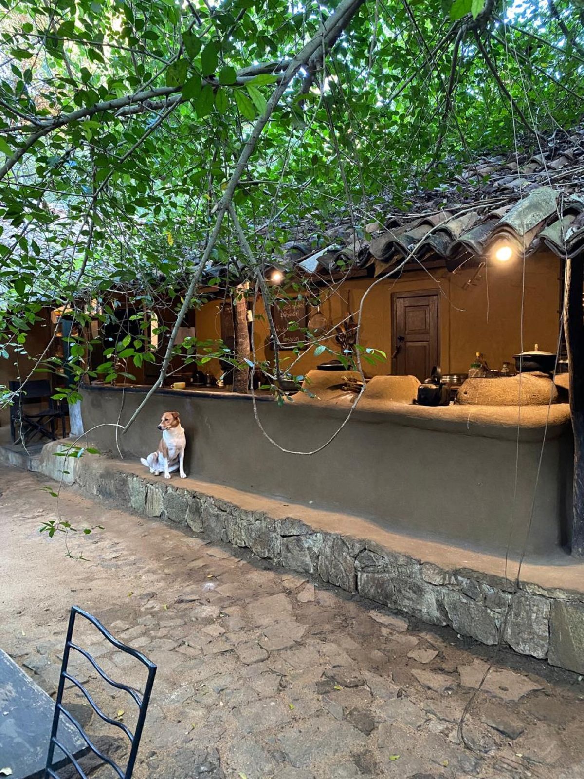 Meals around the open kitchen at Galkadawala