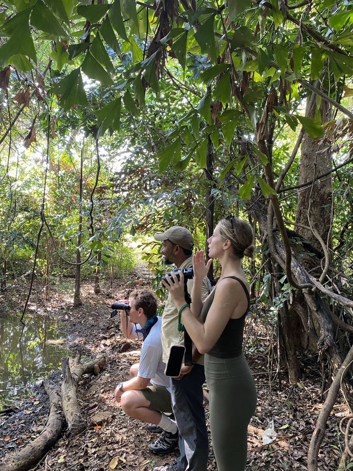 Birds and wildlife around Galkadawala