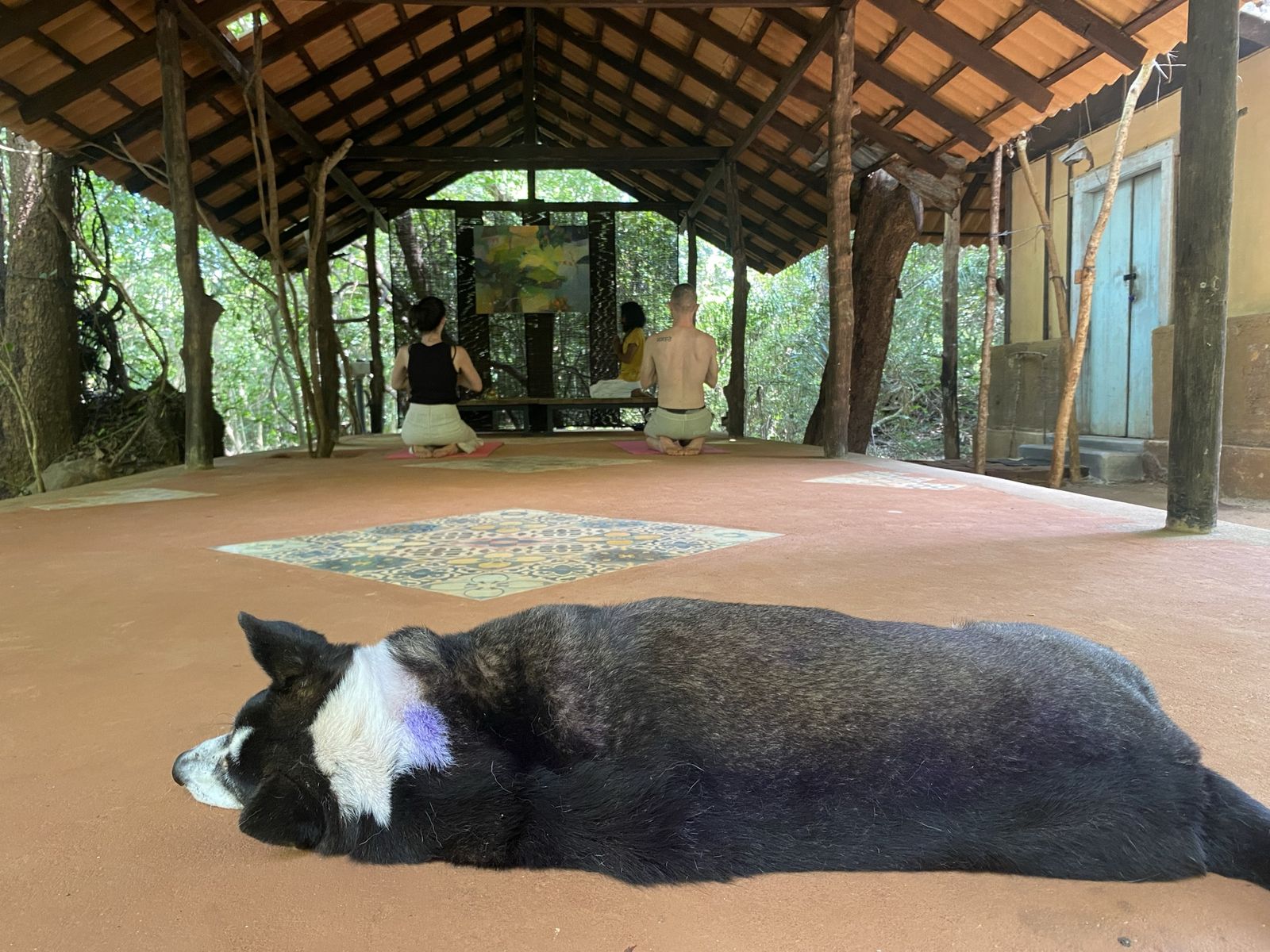 The yoga pavilion at Galkadawala